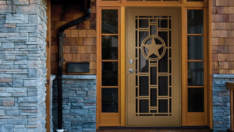 unique-home-designs-security-doors-screen-doors-and-window-in-unique-home-designs-security-door.jpg