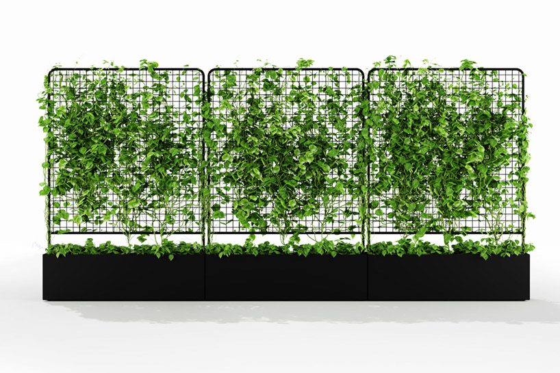 helen-kontouris-botanical-planter-screens-designboom-05.jpg